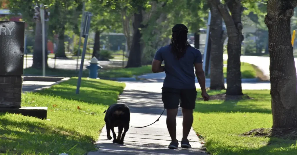 Man walking a dog on a sunny sidewalk, illustrating the 9 powerful health benefits of walking 30 minutes a day backed by science for overall wellness.