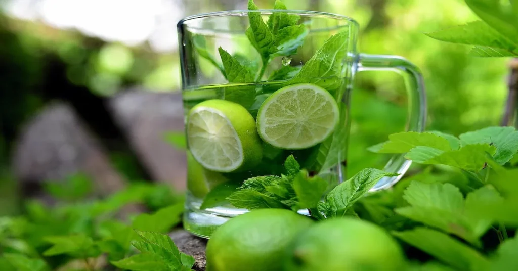 A glass of water adorned with lime slices and mint leaves, illustrating a healthy choice for a digital detox journey.