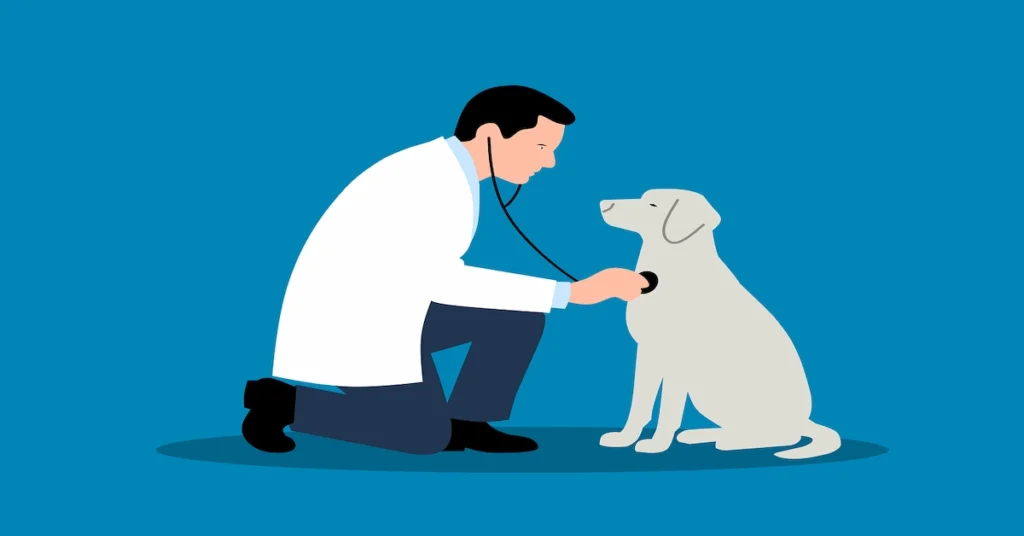 A veterinarian examines a dog with a stethoscope, promoting awareness of common dog health issues and preventive care tips.